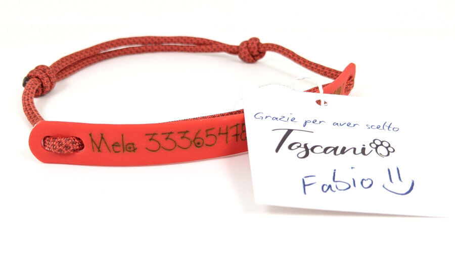 Tag Toscani - immagine 3