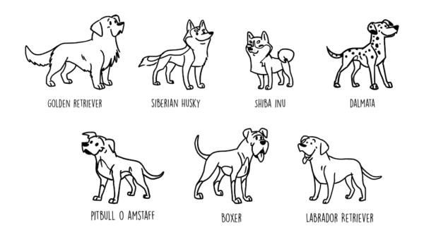 cani cartoon per incisioni toscani store cani orientali e grande taglia