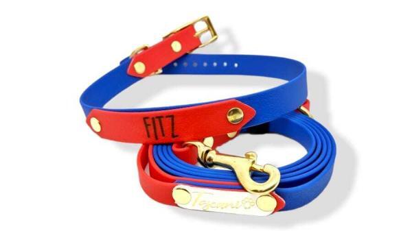 completo per cane bicolore medium azzurro e rosso corallo con collare fibbia regolabile ottone toscani store