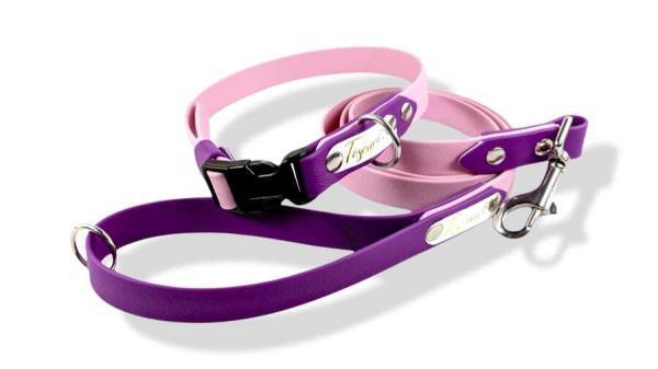 completo per cane bicolore medium cipria e viola rock con collare clip regolabile acciaio toscani store