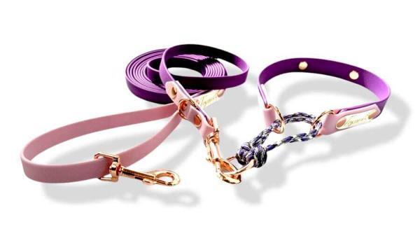 completo per cane bicolore medium viola rock e cipria con collare martingala minuteria oro rosa toscani store