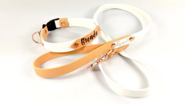 completo per cani bicolore collare clip regolabile bianco e biscotto con minuterie oro rosa toscani store