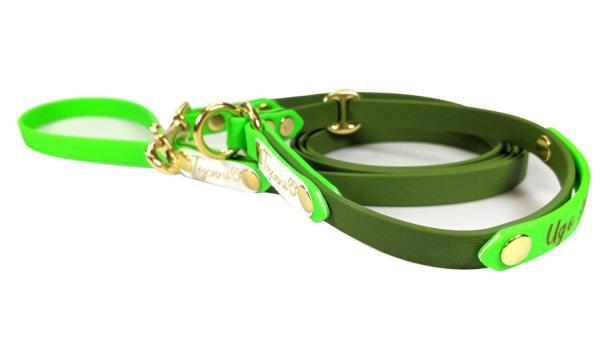 completo per cani bicolore collare retriever verde fluo e tan con minuterie oro ottone toscani store