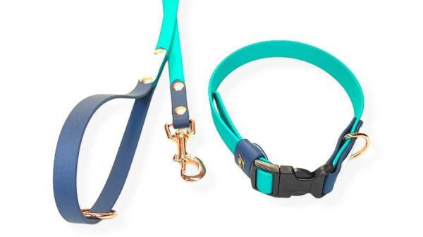 completo per cani media taglia bicolore collare clip regolabile smeraldo e ottanio con minuterie oro rosa toscani store