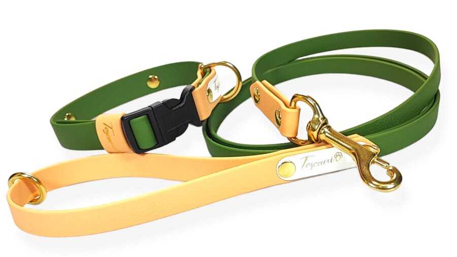 completo per cani media taglia bicolore collare clip regolabile verde militare e bruno di marte con minuterie oro toscani store
