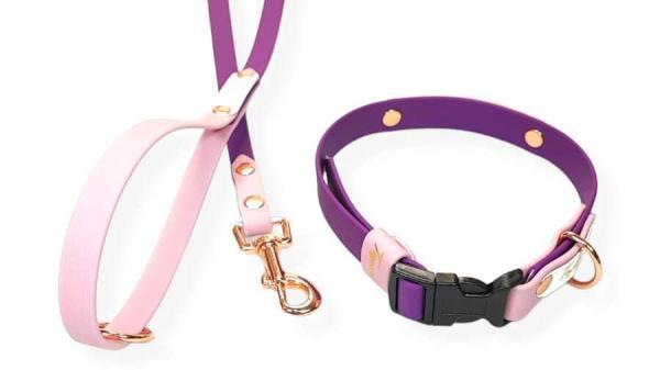 completo per cani media taglia bicolore collare clip regolabile viola rock e cipria con minuterie oro rosa toscani store
