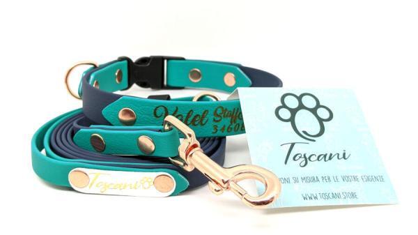 kit bicolore inciso per cani toscani store clip fissa color ottanio e smeraldo oro rosa