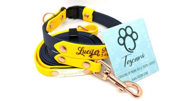 kit bicolore inciso per cani toscani store clip regolabile color ottanio e canarino oro rosa