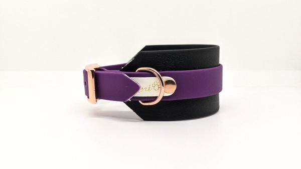 Collari Toscani Store collezione grande LEVRIERO fibbia lato sinistro