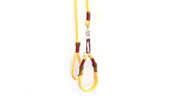 Nuvola fieno completo martingala per cani