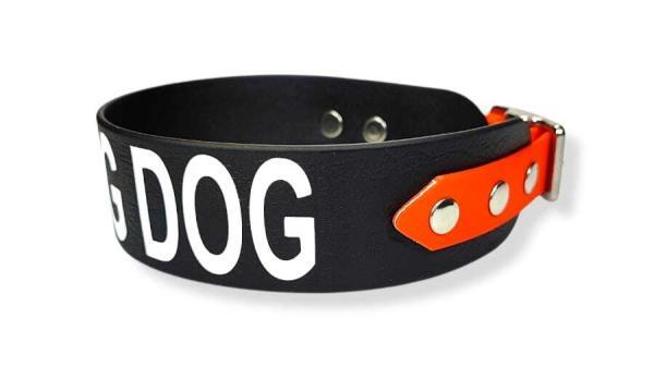 Collare a fascia alta con testo inciso per working dog utilità caratteri enormi fine testo minuteria acciaio antiruggine toscani store
