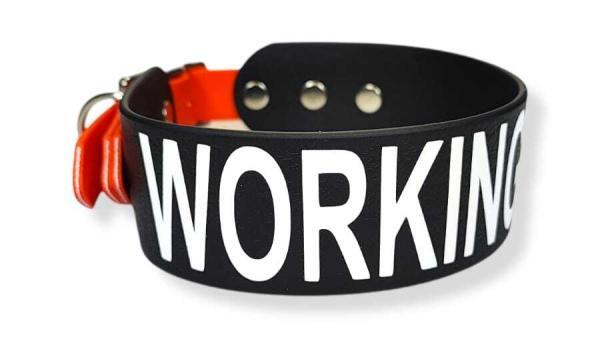 Collare a fascia alta con testo inciso per working dog utilità caratteri enormi vista testo minuteria acciaio antiruggine toscani store