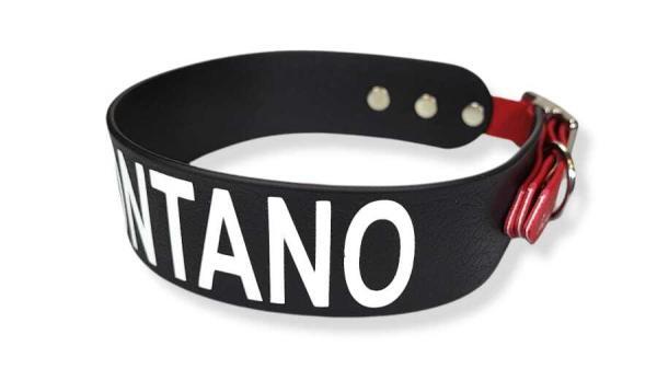 Collare avvertimento con testo enorme stai lontano per cani che non amano il contatto o working dog vista fine testo toscani store