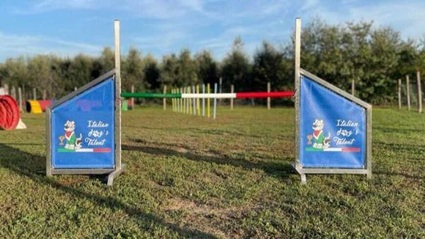 antine salti agility personalizzate per centro cinofilo italian dog's talent by toscani store