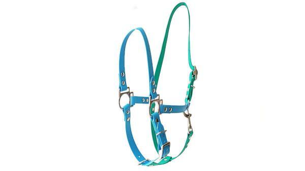 capezza cavezza per cavallo waterproof minuterie acciaio su misura toscani store razzurro e smeraldo