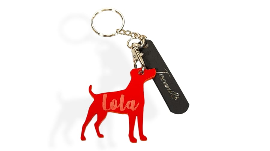 Portachiavi personalizzato per orecchie di cane con nome di animali  domestici inciso, 50 contorni di orecchie di cane, fascino di memoria per  animali domestici, regalo dal cane, regalo commemorativo per cuccioli di