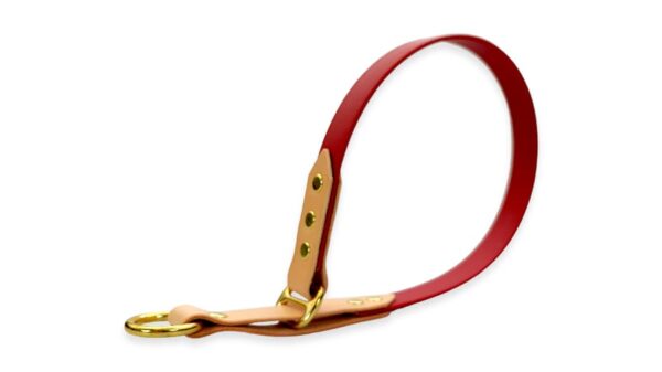 Collare per cane in cuoio e fettuccia waterproof pvc modello retriever genuina e vinaccia ottone v2 toscani store