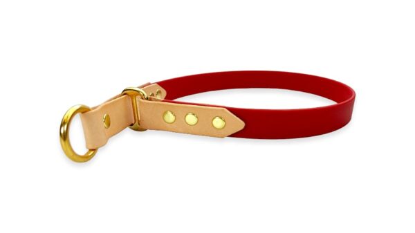Collare per cane in cuoio e fettuccia waterproof pvc modello retriever genuina e vinaccia ottone v3 toscani store