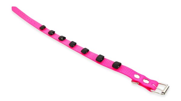 collare cane regolabile porta seresto scalibor advantix antiparassitario colore rosa fluo waterproof disteso toscani
