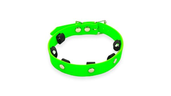 collare cane regolabile porta seresto scalibor advantix antiparassitario colore verde fluo waterproof chiuso retro toscani