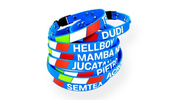 collari per cani nazionale italiana con bandiera e nome personalizzato team toscani store