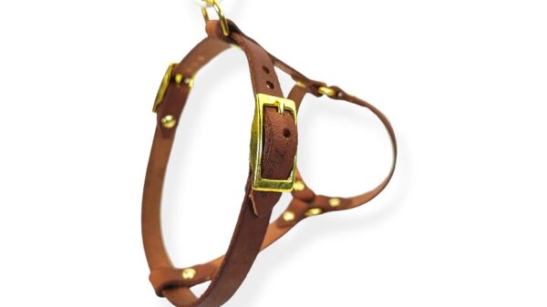 pettorina regolabile per cane modello h in vero cuoio beige minuteria ottone vista retro toscani store