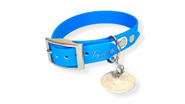 collare fibbia regolabile per cane con minuteria argento e medaglietta toscani store