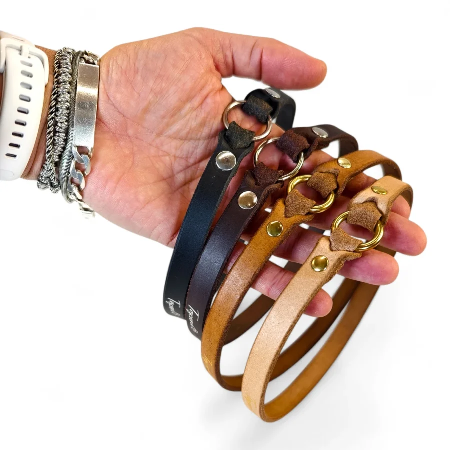 4 collari per cani e gatti porta medaglietta in cuoio mix colori realizzati su misura da toscani manostore