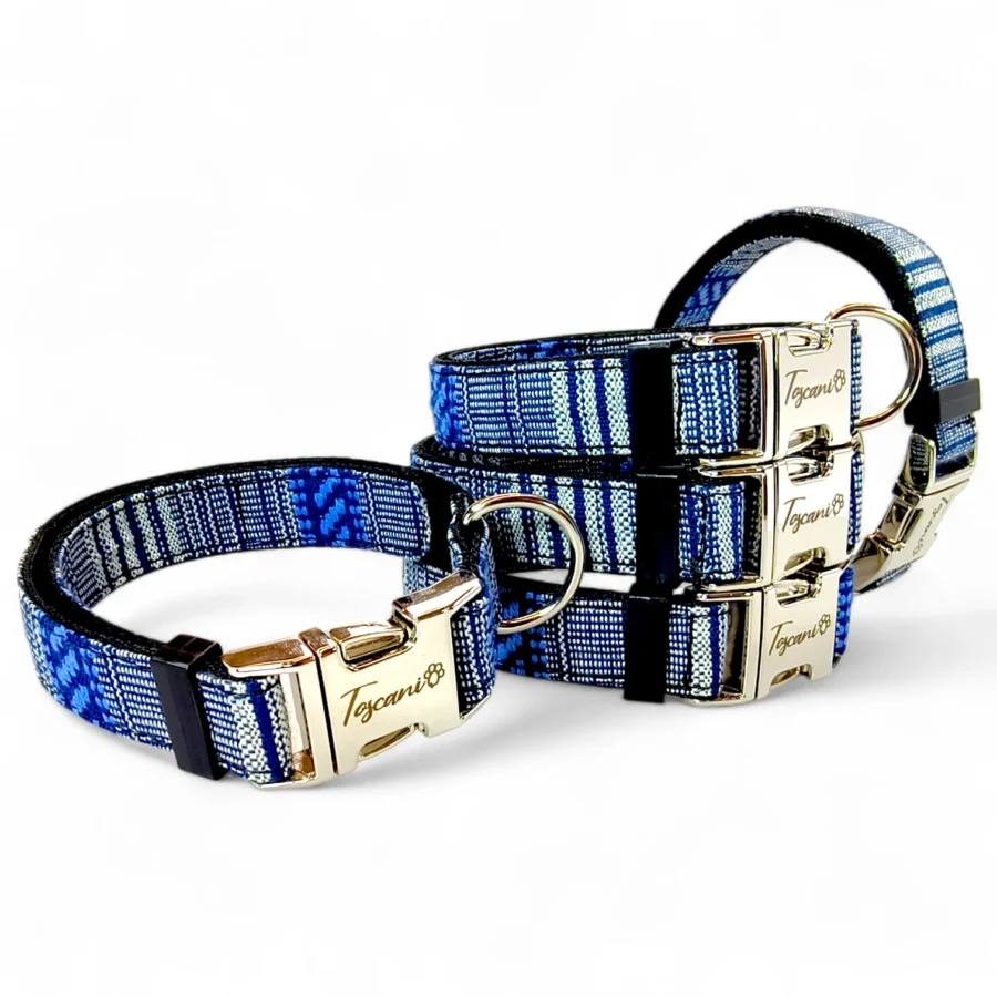 Gruppo collari per cane Era regolabile 25 30 e 35 cm con fantasia etnica blu clip full metal sicura largo 2cm toscani store fronte