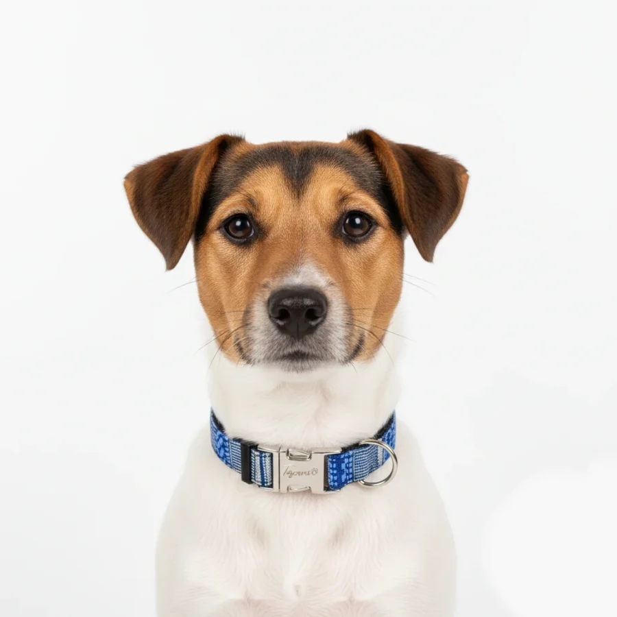 cane medio piccola taglia che indossa collare era blu con fantasia etnica regolabile super sicuro toscani store