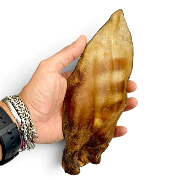 orecchio di manzo essiccato